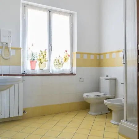 Guest house 